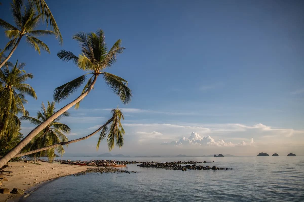 The Five Island Beach House - 5