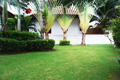 Villa Busaba MVI-B12 - 5