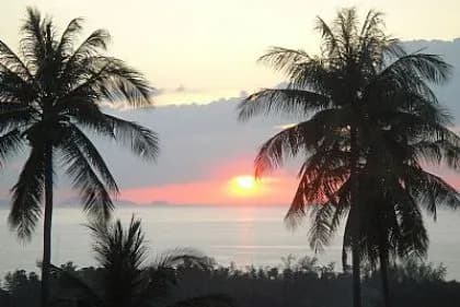 Villa Hollywood with Pool - 4