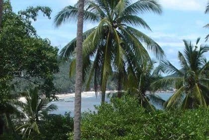 La Cigale - Family Villa - 5