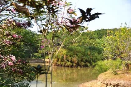 Kinkala Deluxe Apartment 02 - 4