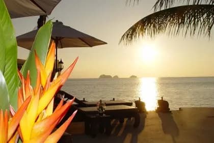 Sibaja Palms Sunset Beach Apartment - 5