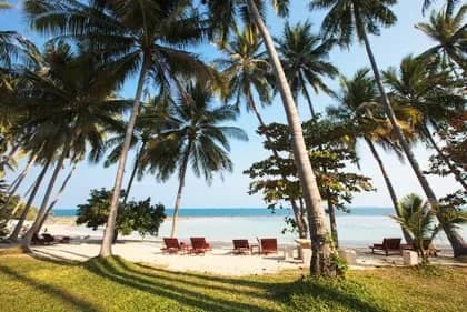 Villa Kalyana Orchid - 4