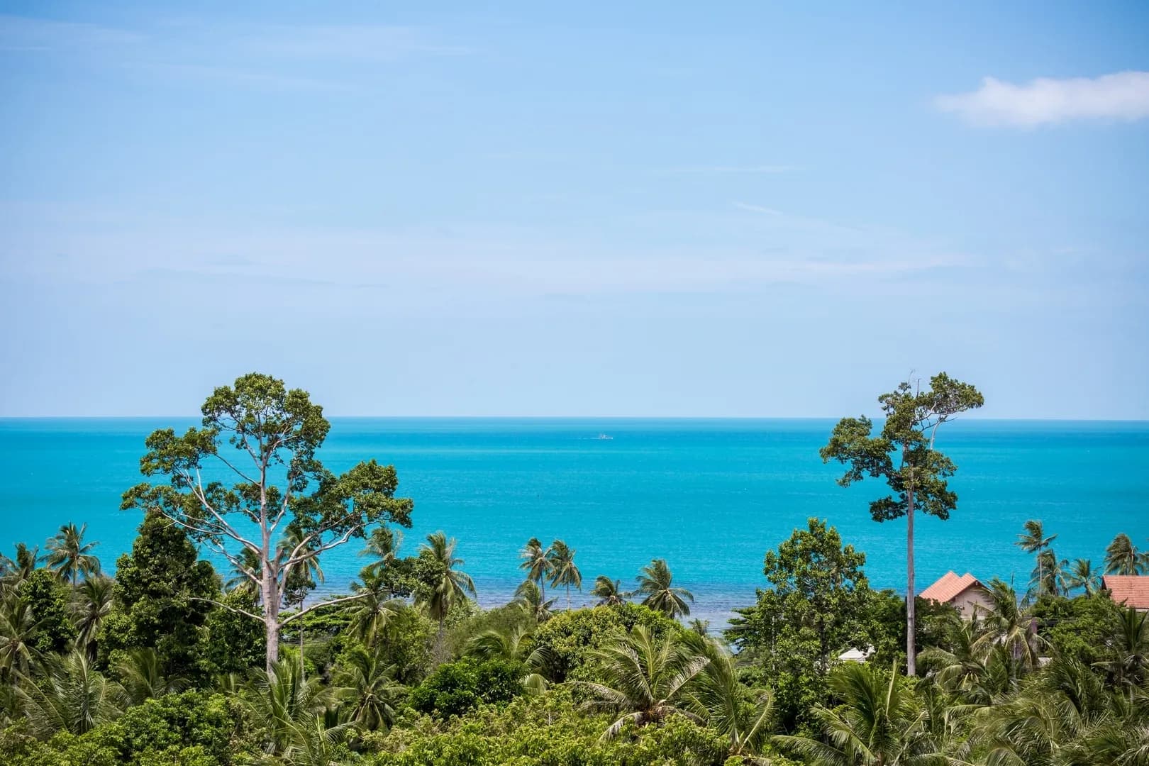 Tranquil Residence 2 - 4