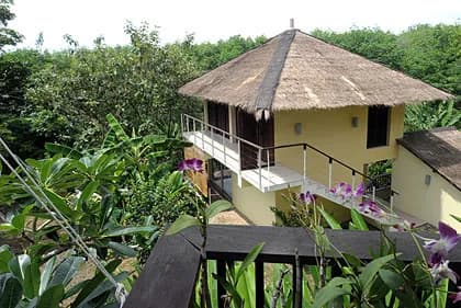 Tamarind Dreamview - 4